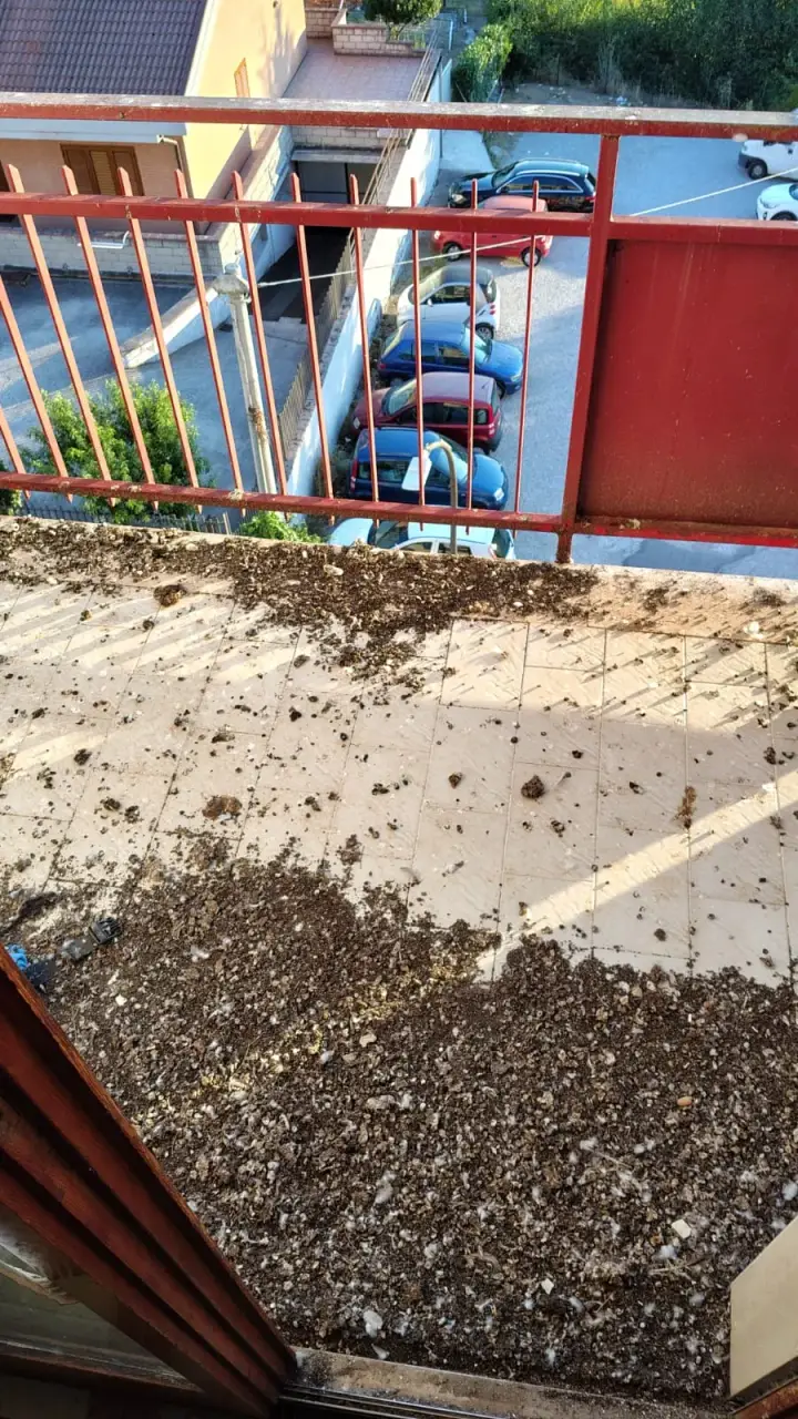 Balcone coperto di guano di piccioni prima dell'intervento