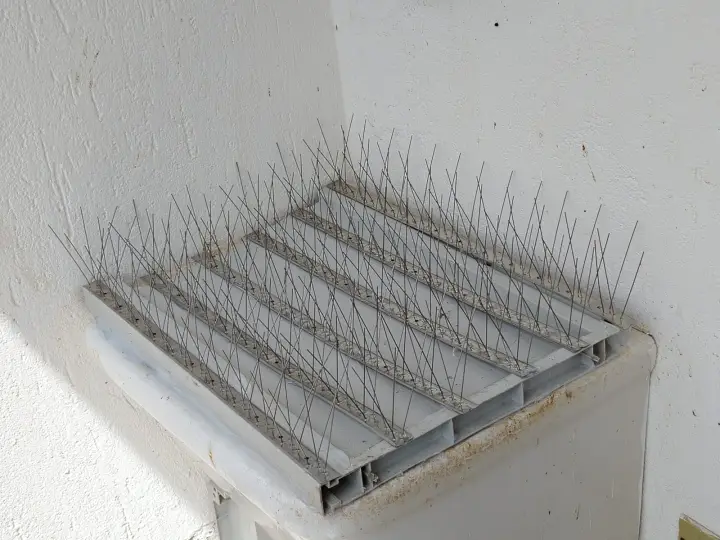 Dissuasori anti-sosta installati su un davanzale