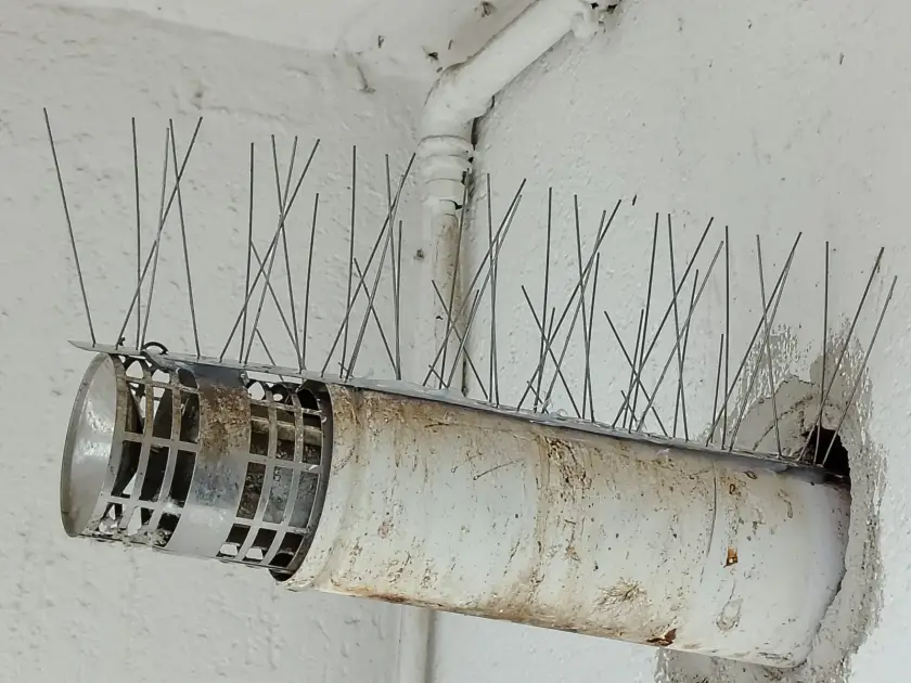 Dissuasori anti-piccione installati da New Service sopra un tubo in facciata