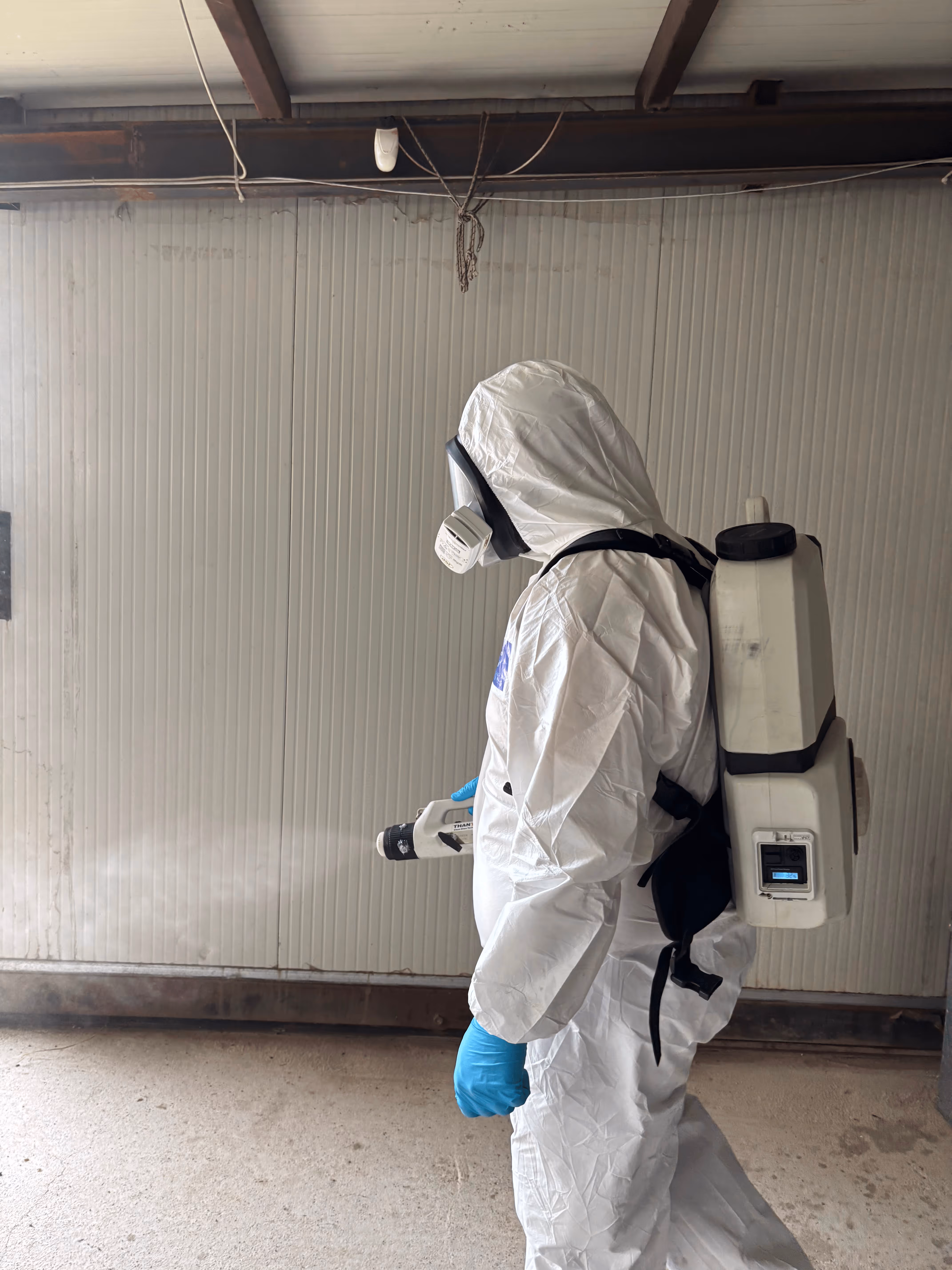 Construction workers orchestrating a project