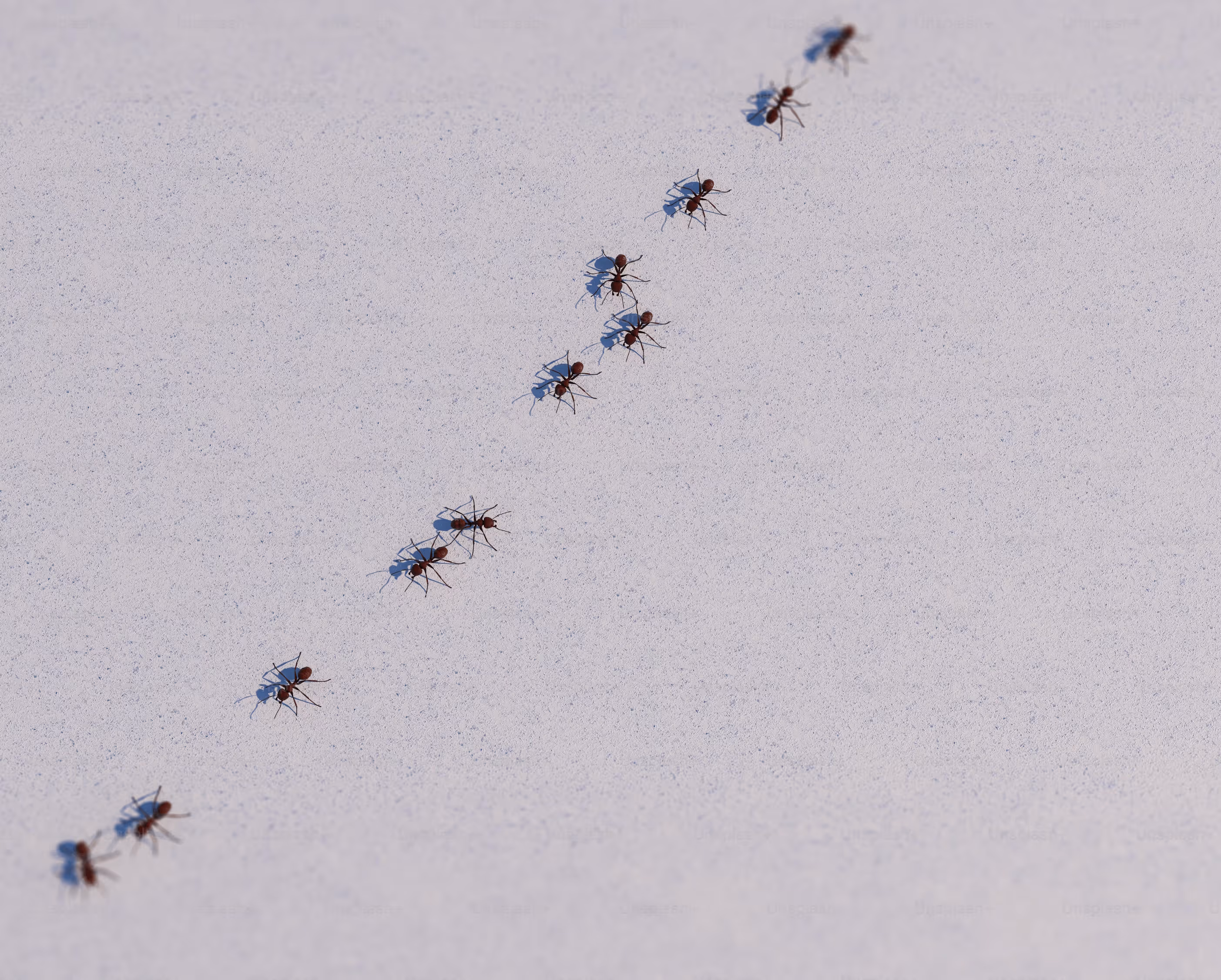 Blueprints and digital tablet with construction plans.