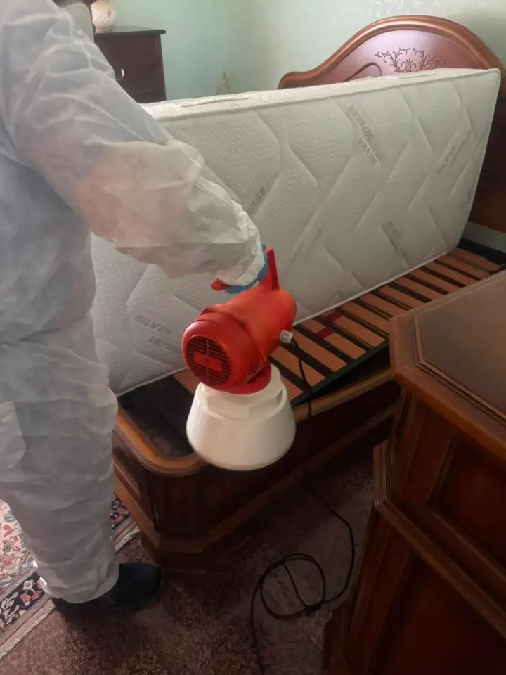 Nebulizzatore usato per il trattamento di un letto contro le cimici